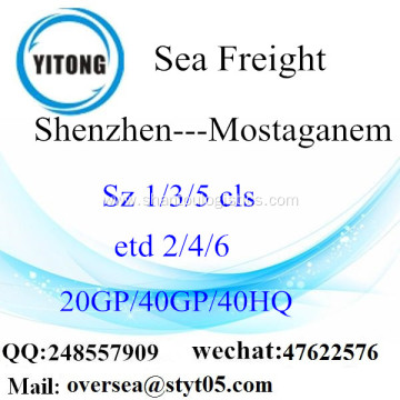 Shenzhen Port Sea Freight Shipping To Mostaganem